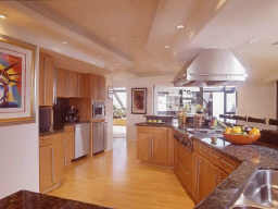 Urban Highrise Kitchen - Click to enlarge